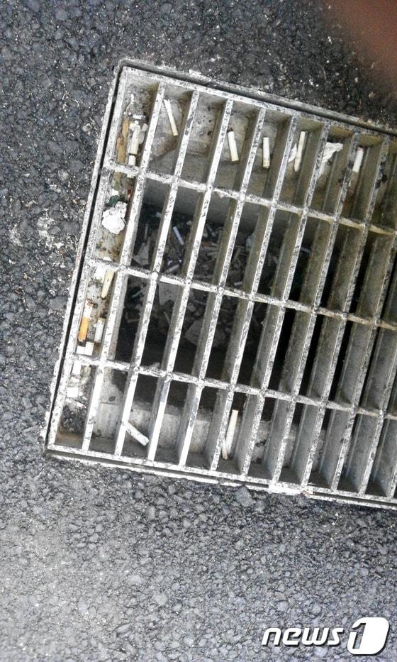 본문 이미지 - 서울 시내 하수구에 담배꽁초가 쌓여있다 © News1 