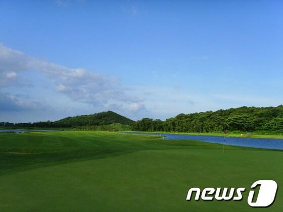 본문 이미지 -  © News1