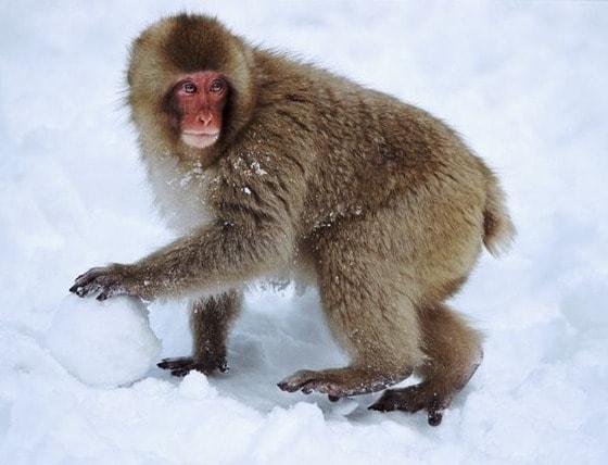 본문 이미지 - 데일리메일 © News1 