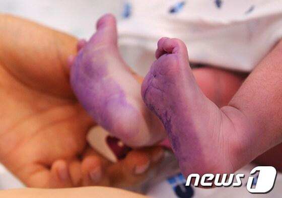 본문 이미지 - © News1 박철중 기자