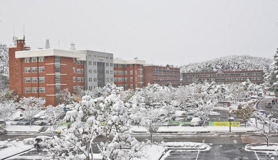 본문 이미지 - 국립 군산대학교 전경. © News1 김재수 