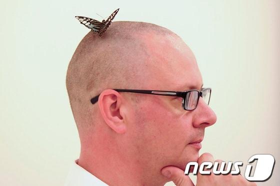 본문 이미지 - © AFP=News1 