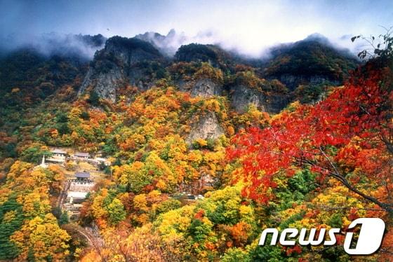 본문 이미지 - 경북 봉화군은 3일 봉화 청량산은 산중 사찰과 기암봉우리, 하늘다리를 함께 둘러볼 수 있는 가을 산행지라고 밝혔다. 사진은 봉화 청량산 (봉화군 제공. 재판매 및 DB 금지)/뉴스1