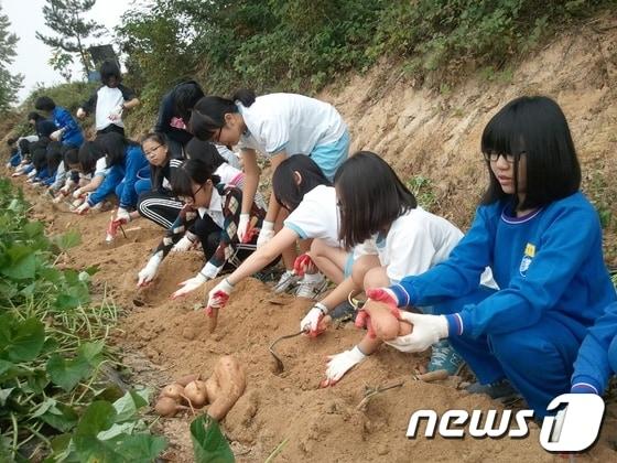 본문 이미지 - © News1 이용민 기자