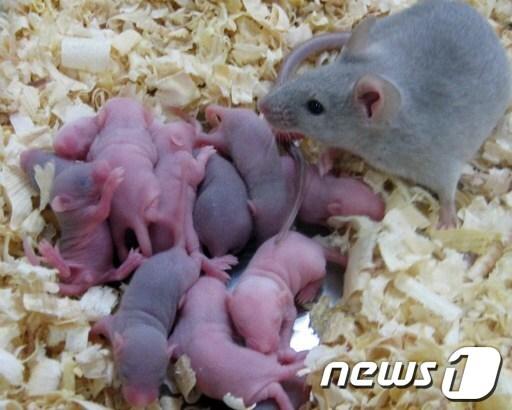 본문 이미지 - ©AFP=News1 