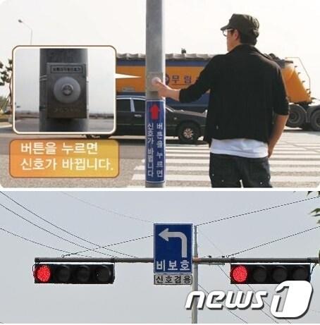 본문 이미지 - 군산시가 도입해 운영할 보행작동신호기와 좌회전 감응 신호기. © News1 