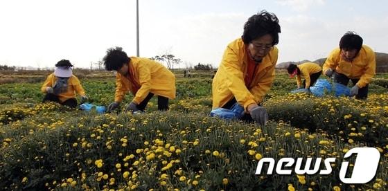 본문 이미지 - 사진제공=광주시 © News1 