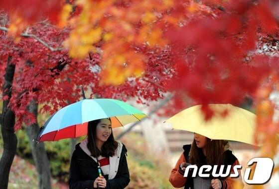 본문 이미지 - © News1 김용빈 기자