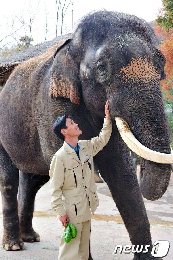 본문 이미지 - © News1 