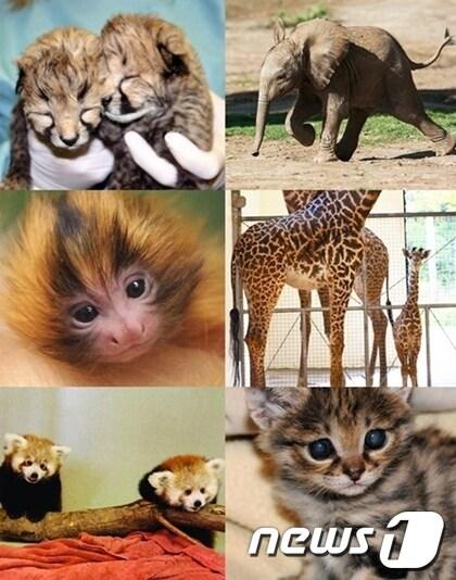 본문 이미지 - 여행 매거진 '트레블앤레져' 