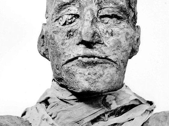 본문 이미지 - 람세스3세의 미이라. © News1 