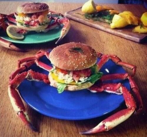 본문 이미지 - (온라인 커뮤니티) © News1 