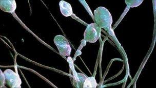 본문 이미지 - br