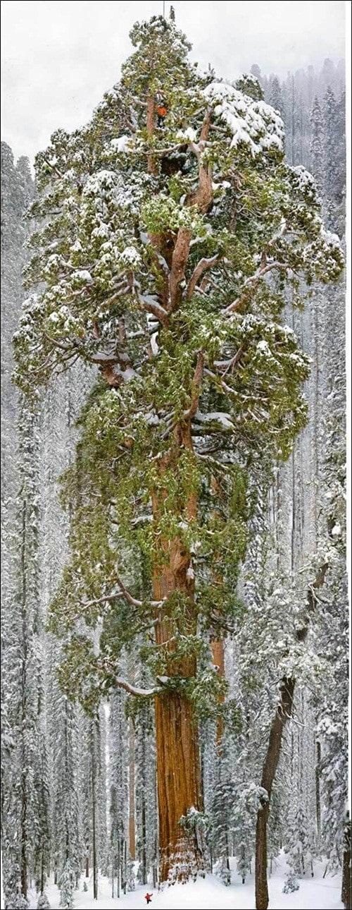 본문 이미지 - 온라인 커뮤니티. © News1 