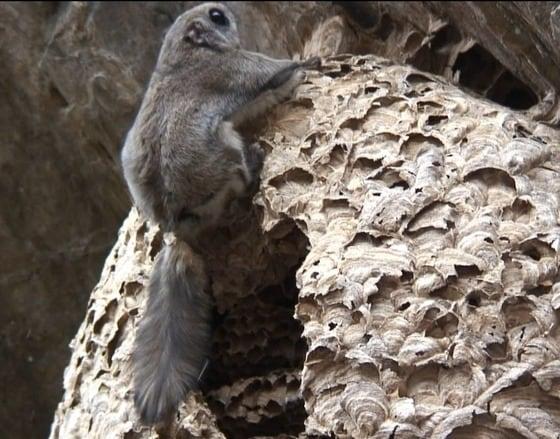 본문 이미지 - © News1 