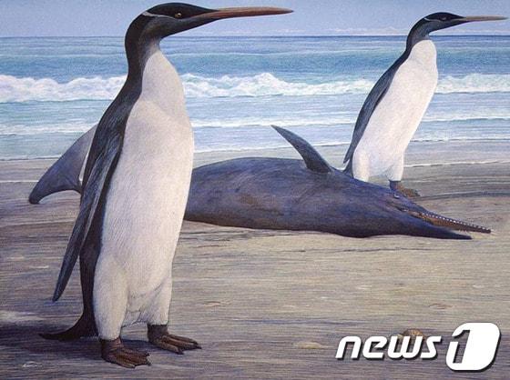 본문 이미지 - © AFP=News1 