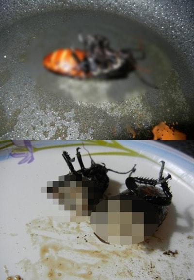 본문 이미지 - 디시인사이드. © News1 