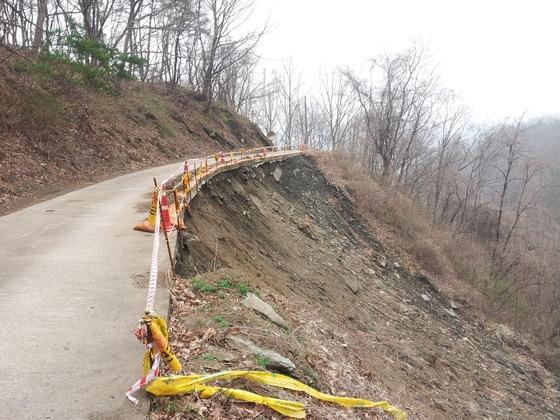 본문 이미지 - (제공= 옥천군청) © News1 