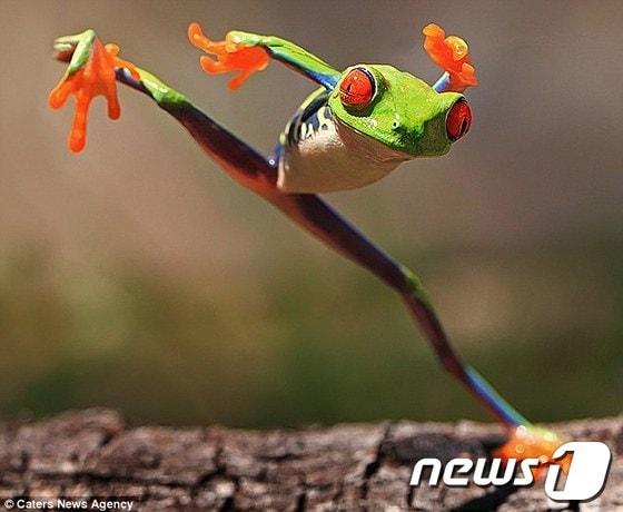 본문 이미지 - (출처= 데일리 메일) © News1 