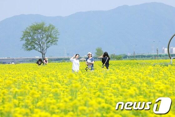 본문 이미지 - © News1 