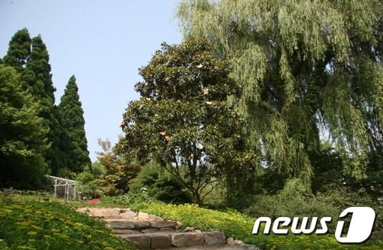 본문 이미지 - 우리나라 최초의 민간수목원인 충남 태안 천리포수목원 © News1 