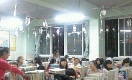 본문 이미지 - © News1 