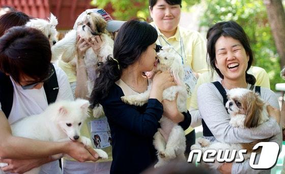 본문 이미지 - 2일 오후 서울 송파 서울놀이마당에서 열린 '유기동물 가족만들기' 행사에 참석한 시민들이 입양한 유기견들을 안고 즐거워 하고 있다. 2012.5.2/뉴스1 © News1   이명근 기자