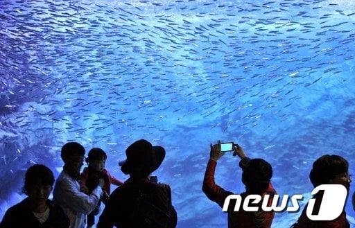 본문 이미지 - © AFP=News1 