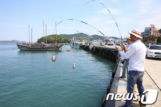 본문 이미지 - 사진제공=완도군© News1 