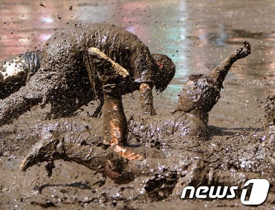 본문 이미지 - © AFP=News1