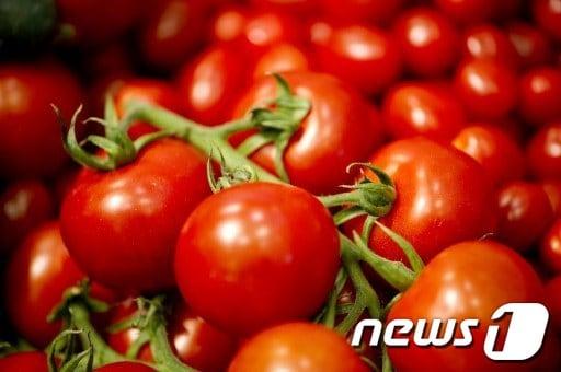 본문 이미지 - ⓒ News1