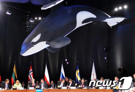 본문 이미지 - © AFP=News1