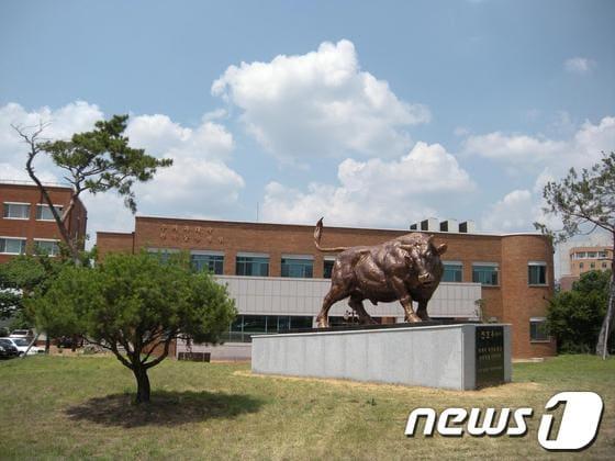 본문 이미지 - 사진제공=경북대© News1 