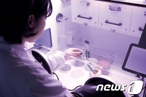 본문 이미지 - 최근 '역대 최대' 규모 의약품 리베이트 적발로 의사 수백명이 수사 대상에 오르는 등 파문이 확산되고 있는 가운데 지난 2월4일 오후 서울 용산구 이촌동 의사협회 회관에서 대한의사협회 노환규 회장(가운데)과 대한의학회 김동익 회장(오른쪽)이 의약품 리베이트 단절을 선언하는 의료계 입장을 발표하고 있다. 2013.2.4/뉴스1 © News1 한재호 기자