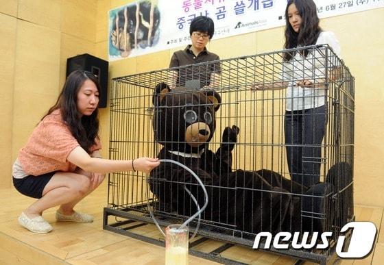 본문 이미지 - (자료사진) 2012.6.27/뉴스1