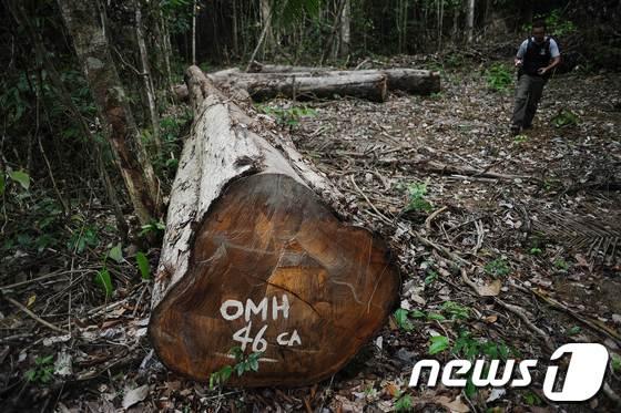 본문 이미지 - ©AFP=News1 