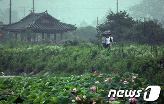 본문 이미지 - 사진제공= 강진군© News1 