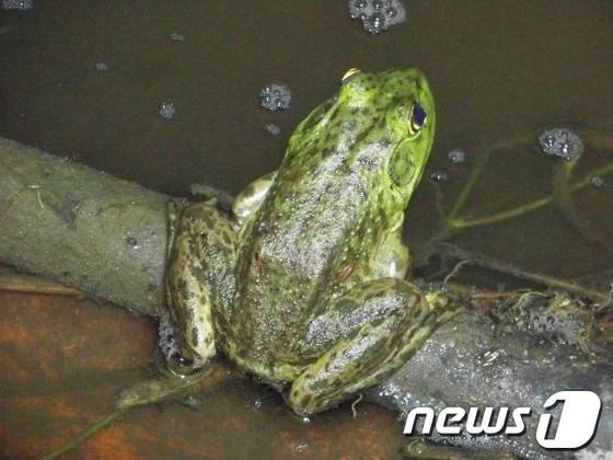 본문 이미지 - © News1 박동욱 기자