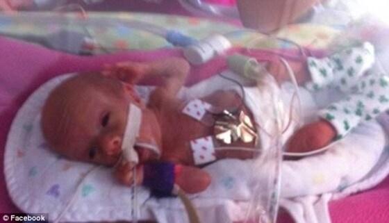 본문 이미지 - (페이스북)© News1 