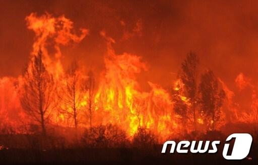 본문 이미지 - 23일 산불이 번진 스페인 북동부의 라혼케라 지역 © AFP= News1 
