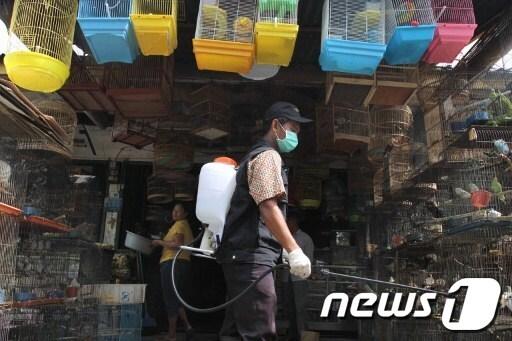 본문 이미지 - © News1 