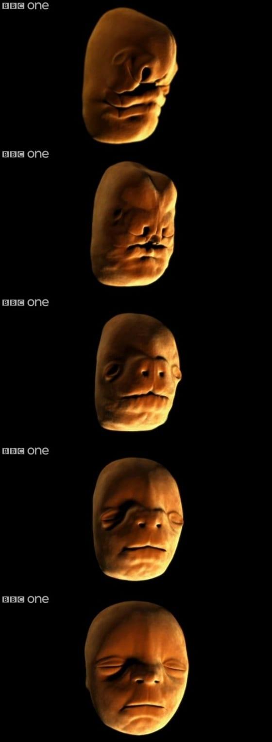 본문 이미지 - (BBC News). © News1 