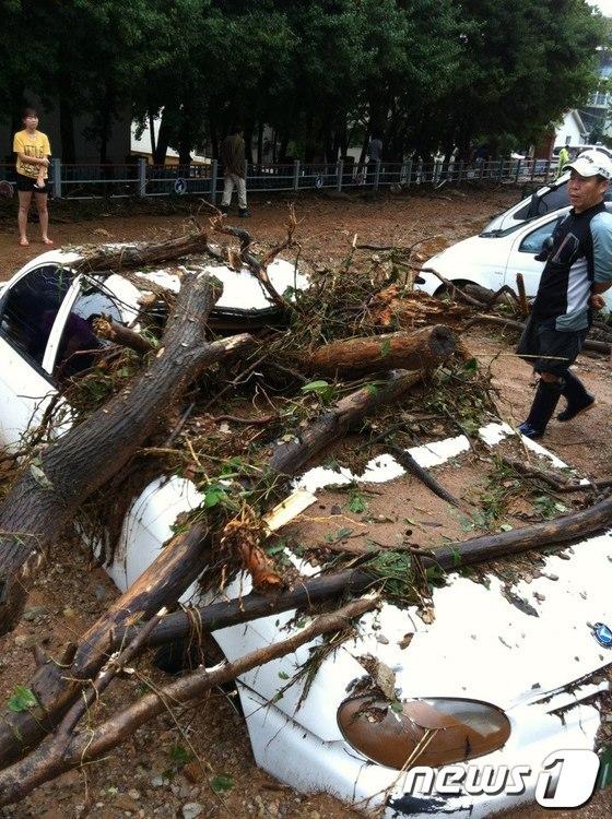 본문 이미지 - 산북동 주공아파트에 주차된 차량이 산에서 흘러내린 토사에 묻혀 있다. © News1  