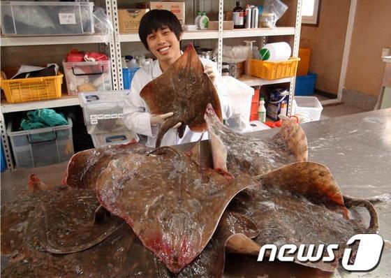 본문 이미지 - 홍어.ⓒ News1