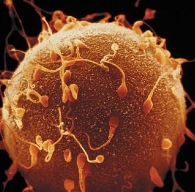 본문 이미지 - © News1 