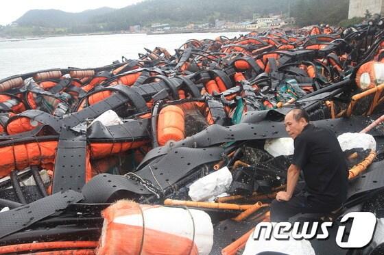 본문 이미지 - 태풍 '볼라벤'의 영향으로 3.5헥타의 전복양식장이 완전 파괴된 완도군 완도읍 망남리 해변© News1 고영봉 기자