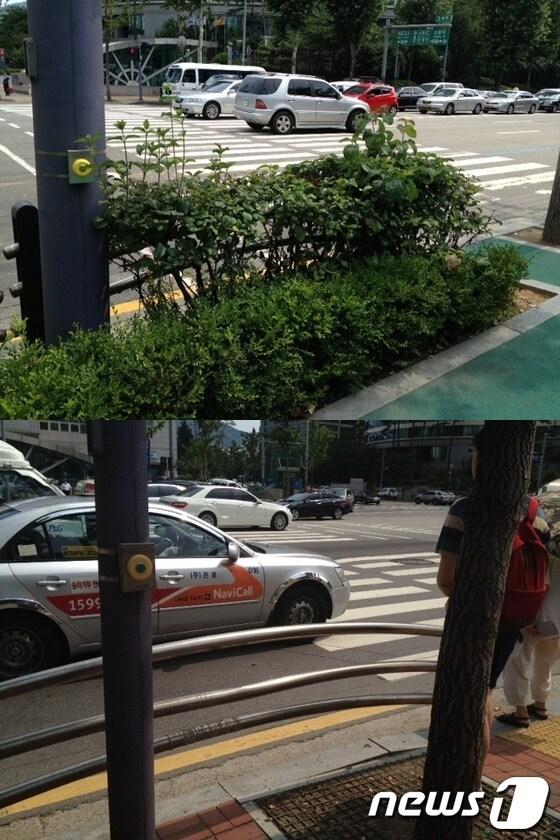 본문 이미지 - 서울 강남구 도곡역 횡단보도에 설치된 시각장애인용 음향신호기는 설치 위치가 횡단보도에서 떨어진데다 화단 안이나 펜스 뒤쪽에 위치해 자칫 위험한 사고를 유발할 수 있어 개선이 필요하다. © News1 방혜정기자