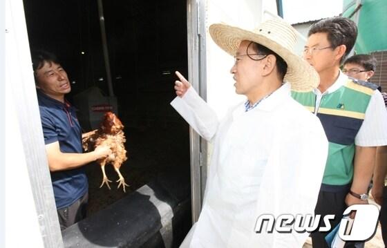 본문 이미지 - 김완주 지사는 8일 폭염피해 현황을 파악하기 위해 남원시 갈치동에서 닭을 키우고 있는 김춘식씨 농장을 찾아 김씨를 위로했다./사진제공=전북도 © News1  