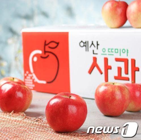 본문 이미지 - 예산사과이미지© News1 