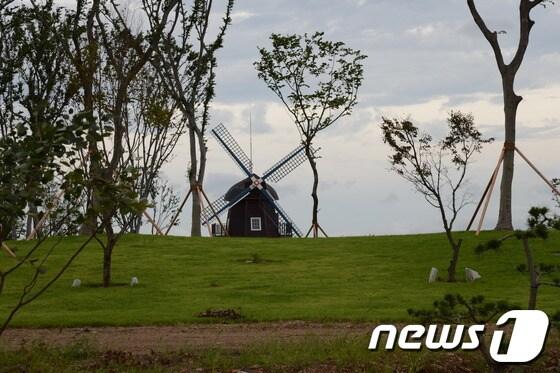 본문 이미지 - 순천정원박람회 네덜란드 정원 조성현장© News1 